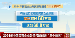 透过数据看2024年平易近营企业外贸成就单 三大类